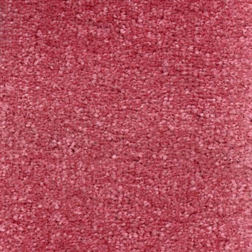 Invicta 2020 Rose Carpet