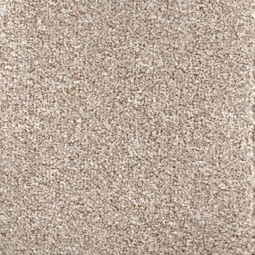 Royal Prestige 2024 Sable Carpet