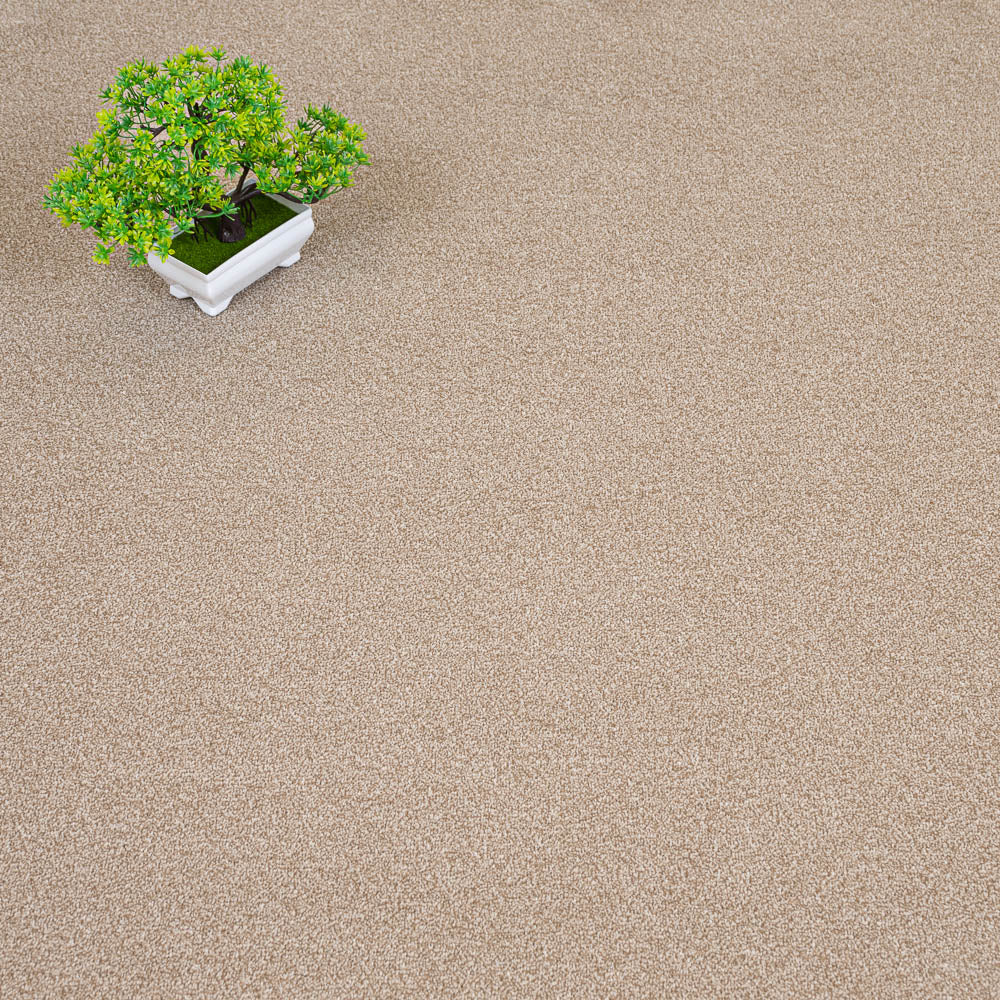 Birma Sandstone 72 Carpet