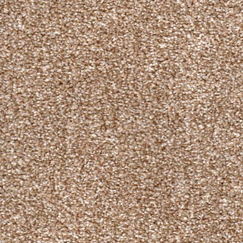 Alpine 2026 Sandstone Carpet