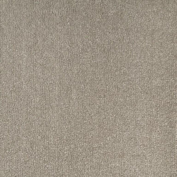 Elements London Scenario Turtle Dove Carpet