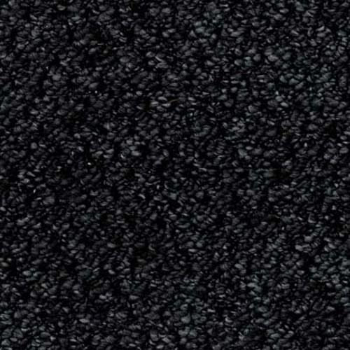 Sweet Home 2020 Shadow Carpet