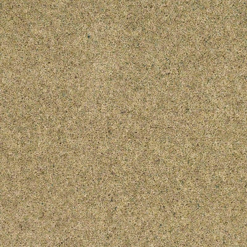 Penthouse Carpets Vermont 60oz Shelby Carpet