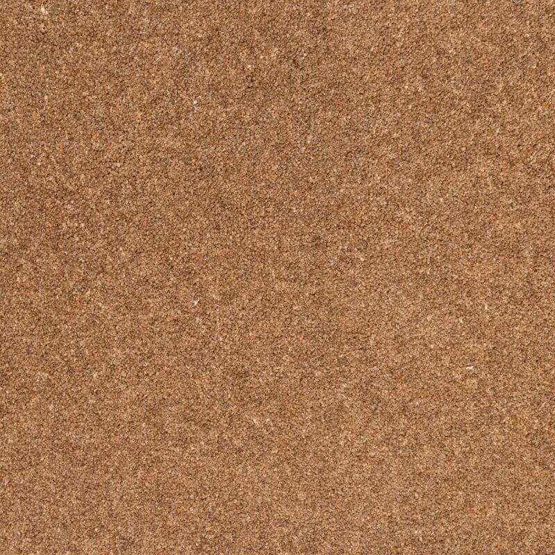 Penthouse Carpets Springtime 40oz Shetland Carpet