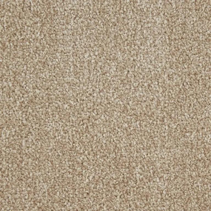 Kingsmead Carpets Signature Twist Polypropylene Marble Carpet