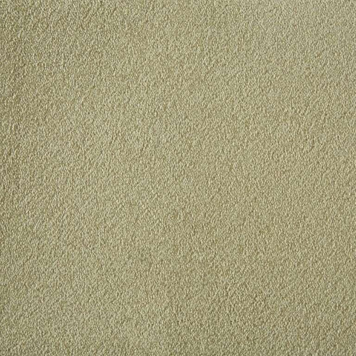 Westex Silken Velvet Debonair Cashmere Carpet