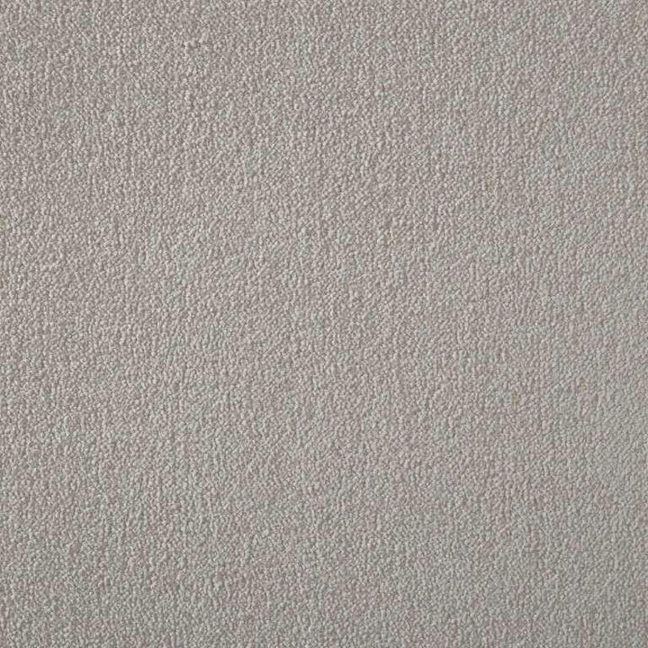 Westex Silken Velvet Chic Turtle Dove Carpet