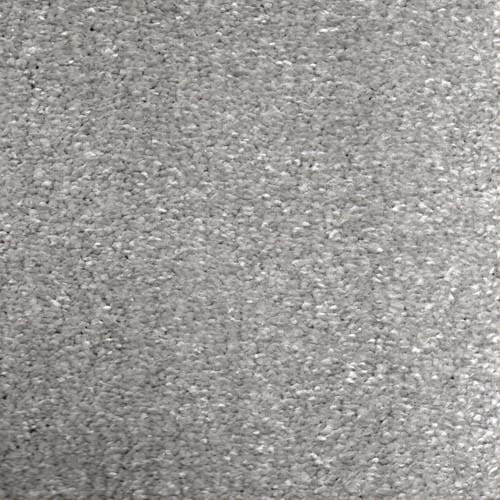 Rembrant Silver Carpet