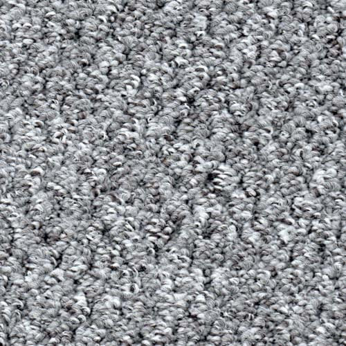 Homestyle Silver Carpet