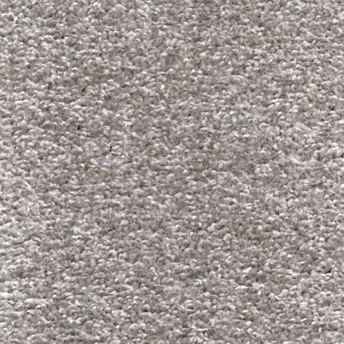 Newport Silver Carpet