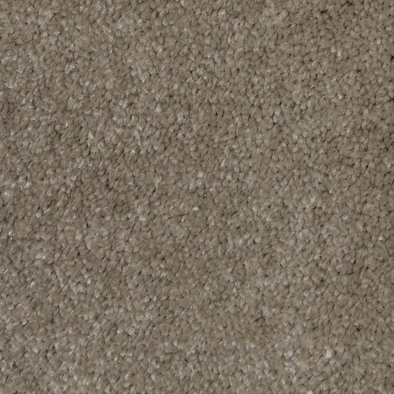 Causeway Carpets Soft Feelings Turtle Dove 8604 Carpet