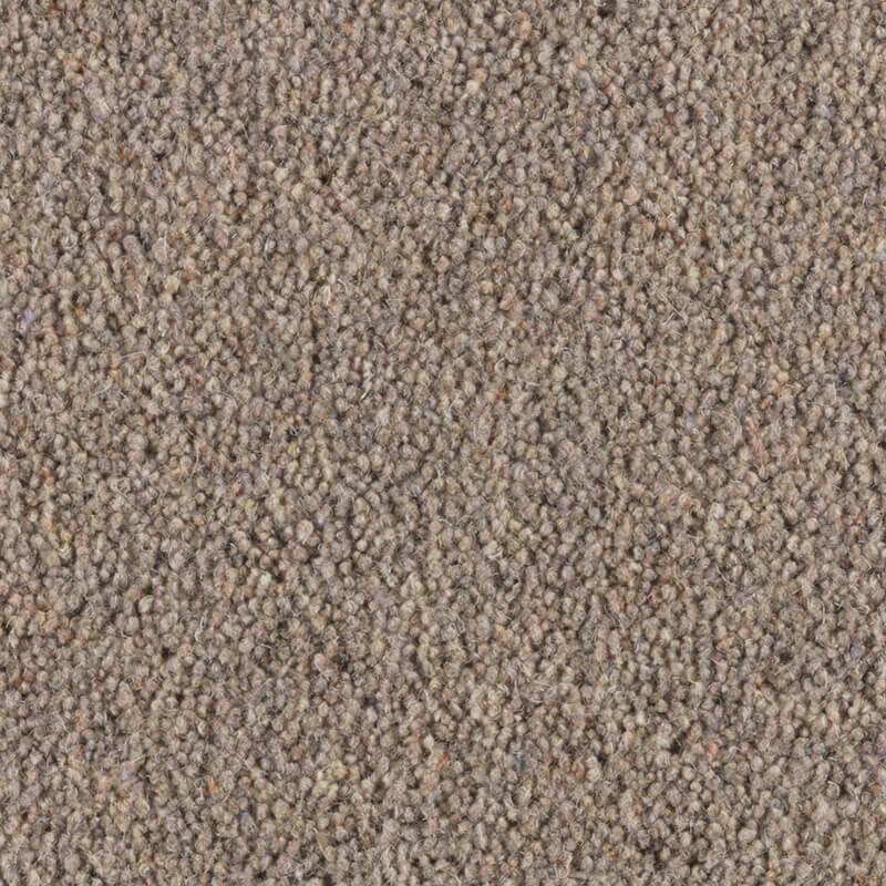 Penthouse Carpets Carlton 36oz Squirrel Carpet
