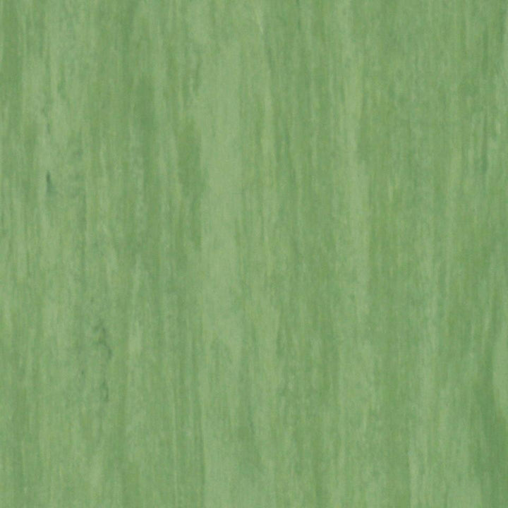 Tarkett Standard Plus 2.0mm Dark Green 0921 Commercial Flooring