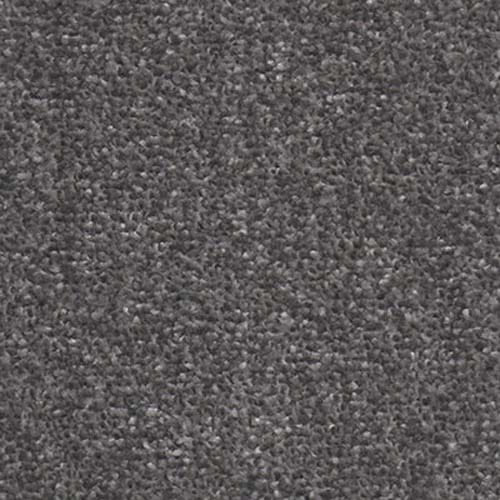 Wincanton 2019 Stardust Carpet