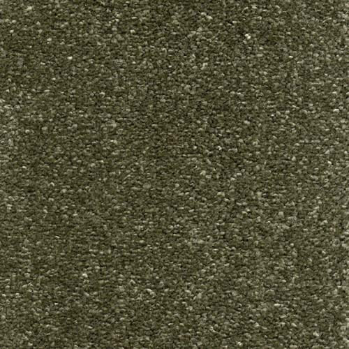 Charm Stone Path Carpet