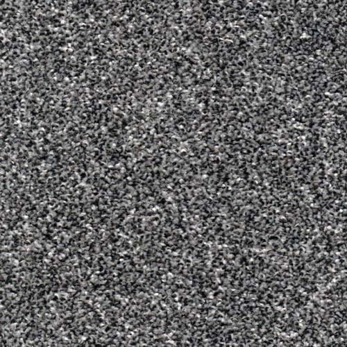 Alpine 2026 Storm Carpet