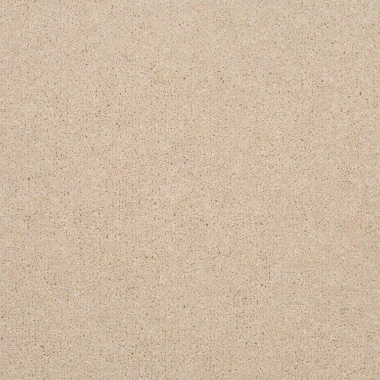 Penthouse Carpets Stratford 40oz Adonis Carpet