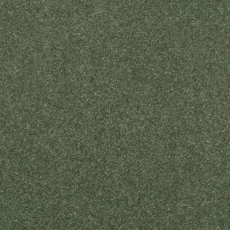 Penthouse Carpets Stratford 40oz Nestor Carpet