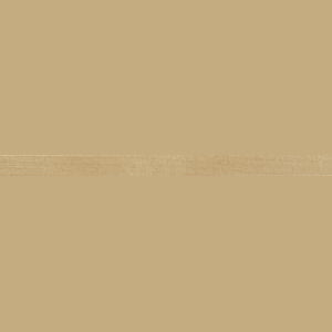Cavalio Floors Conceptline Decorative Strip Maple Marquetry 2056
