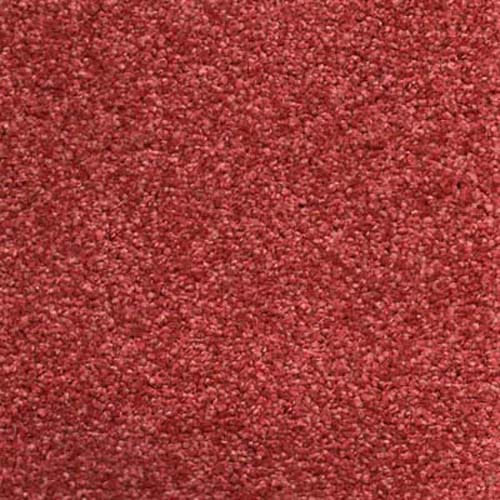 New Pier Twist 2026 Terra Carpet