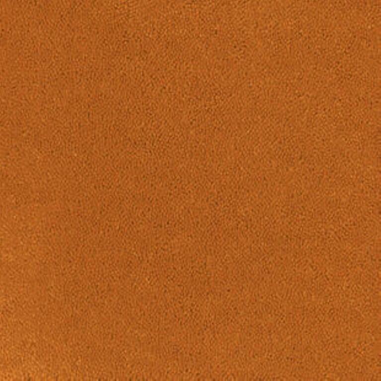 Tarkett Asteranne A411 5101 Carpet