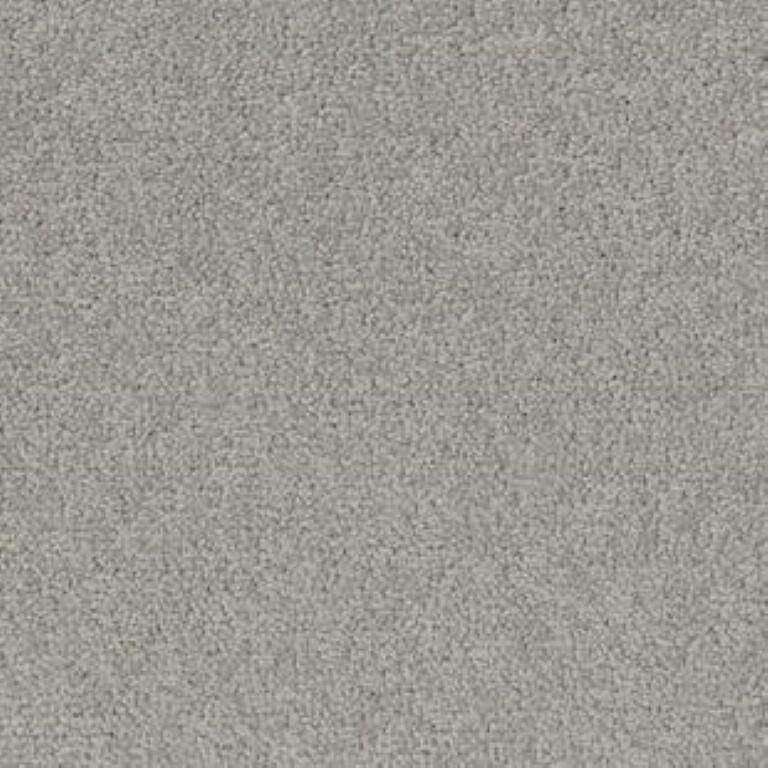 Tarkett Palatino A072 1318 Carpet