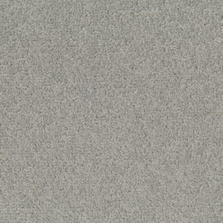 Tarkett Palatino A072 1318 Carpet