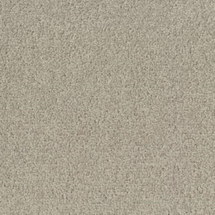 Tarkett Palatino B359 1321 Carpet