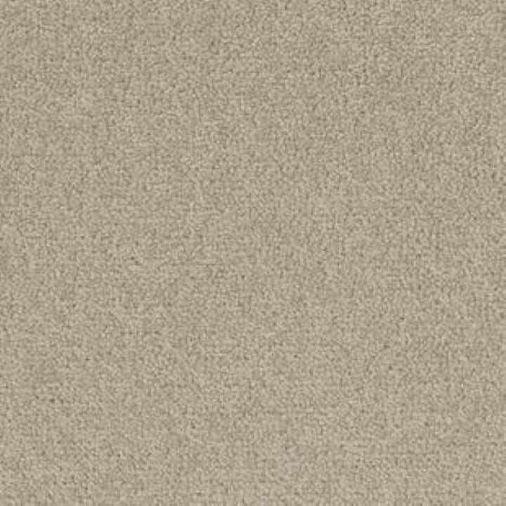 Tarkett Palatino A072 1510 Carpet