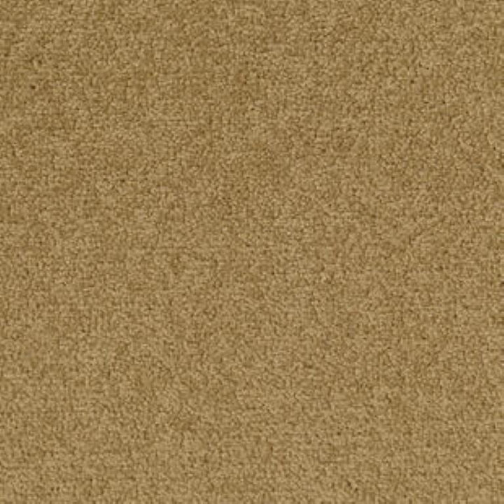 Tarkett Palatino A072 2036 Carpet