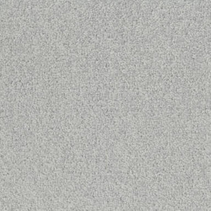 Tarkett Palatino B359 2502 Carpet