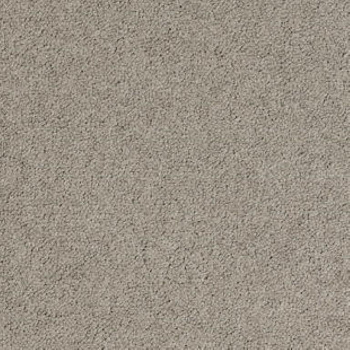 Tarkett Palatino A072 2923 Carpet