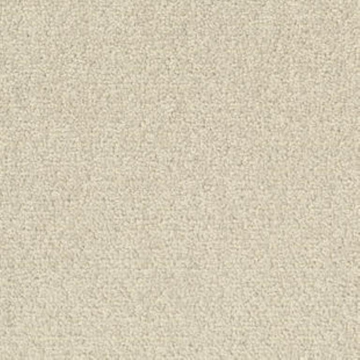 Tarkett Palatino B359 2928 Carpet