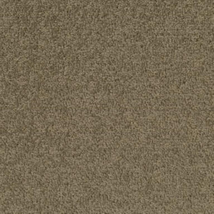 Tarkett Palatino A072 2929 Carpet