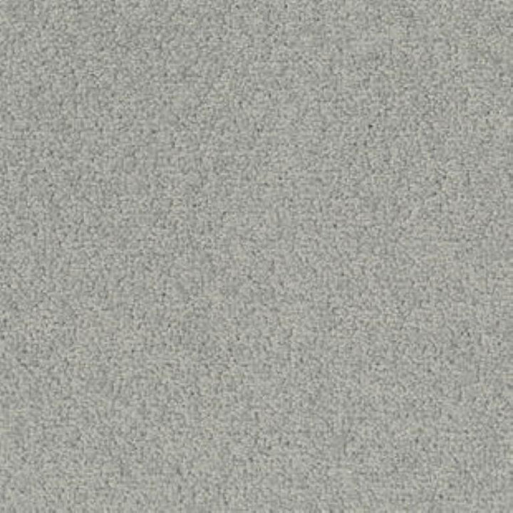 Tarkett Palatino A072 3500 Carpet