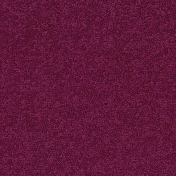 Tarkett Palatino A072 4020 Carpet