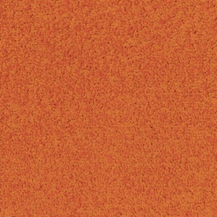 Tarkett Palatino A072 5206 Carpet
