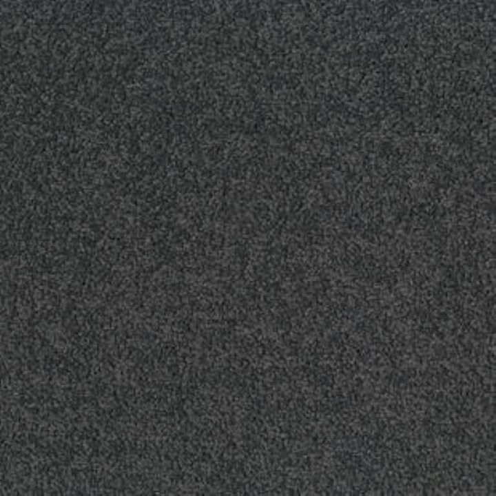 Tarkett Palatino A072 8500 Carpet