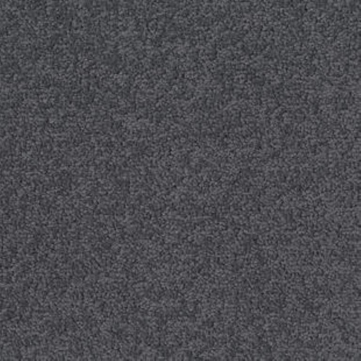 Tarkett Palatino A072 9022 Carpet