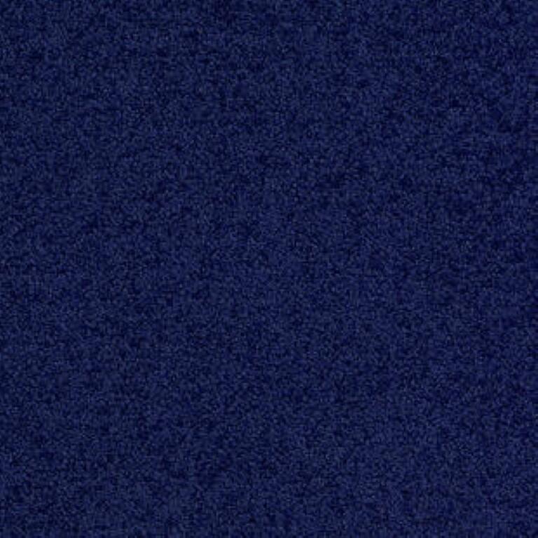 Tarkett Palatino A996 3841 Carpet