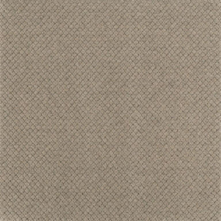 Brintons The Country Life Collection 2/50469 Dapple Bamboo Carpet
