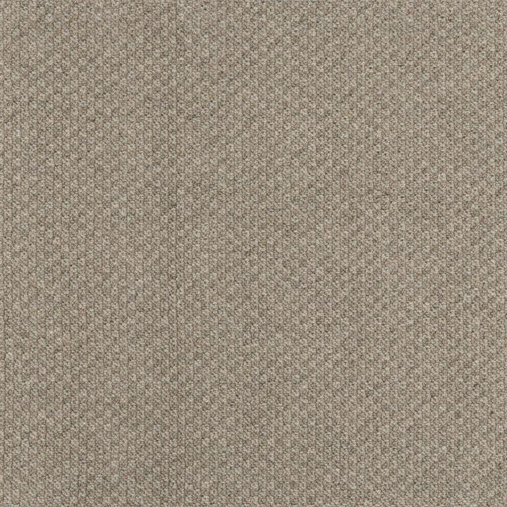 Brintons The Country Life Collection 2/50468 Glade Bamboo Carpet