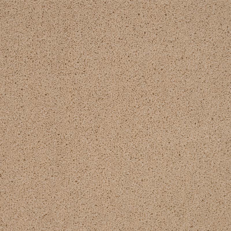 Penthouse Carpets Pentwist Colours 50oz Naturals Thistledown Carpet