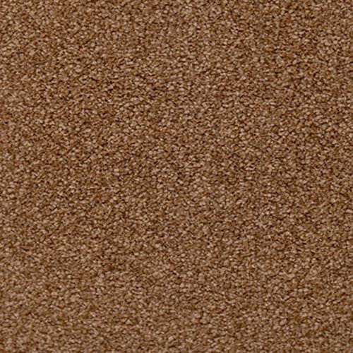 Beverly Hills 2019 Toffee Carpet