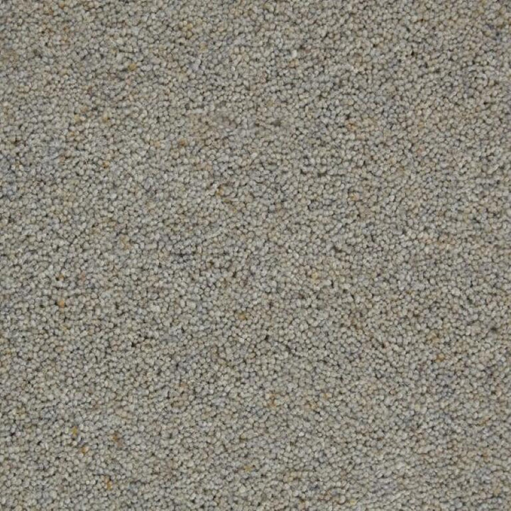 Manx Tomkinson Berber Superior Wool Grey Goose Carpet