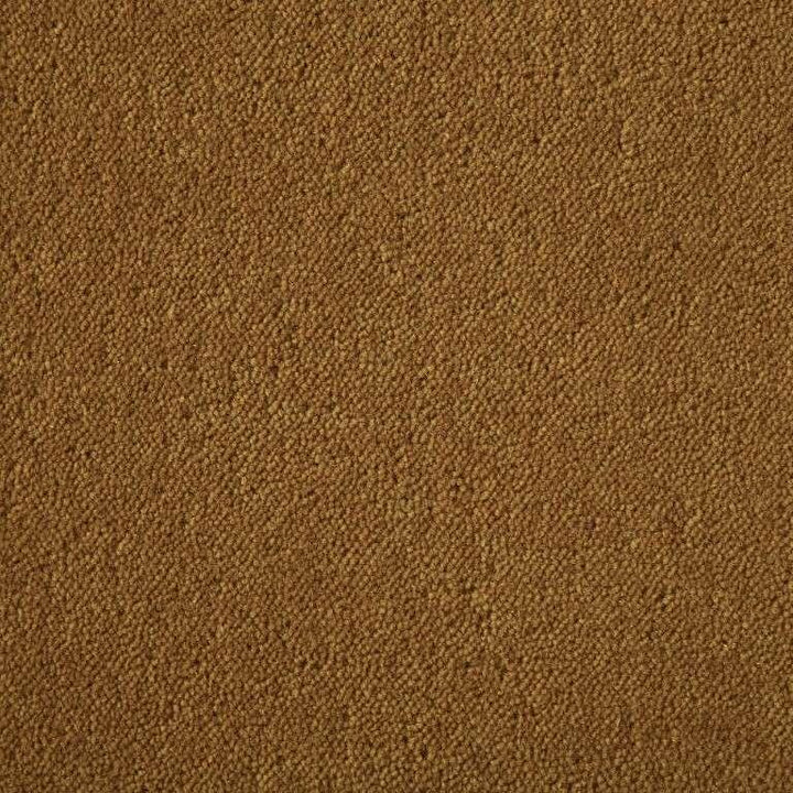 Westex Ultima Twist Crest Antique Gold Carpet