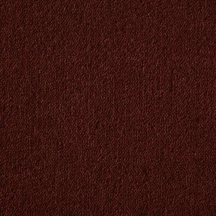 Westex Ultima Twist Pinnacle Burnt Orange Carpet