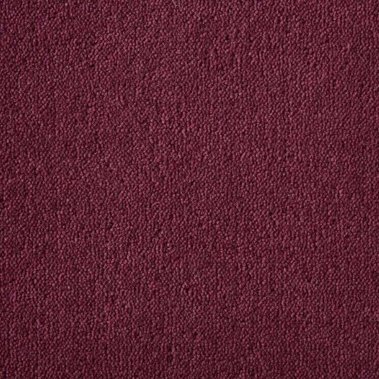 Westex Ultima Twist Pinnacle Dogwood Carpet