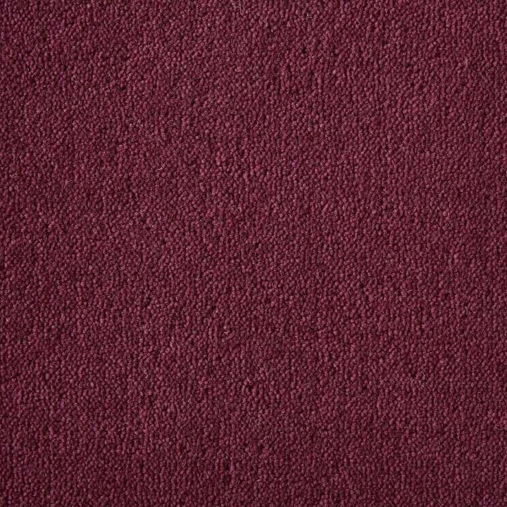 Westex Ultima Twist Pinnacle Dogwood Carpet
