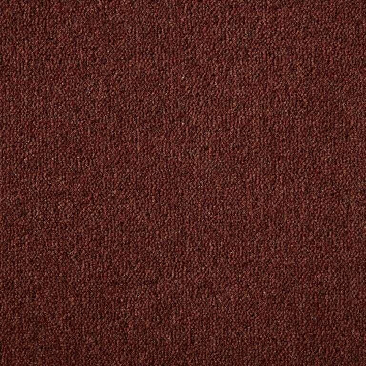 Westex Ultima Twist Crest Mocha Carpet